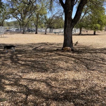Fargo Dog Park - Dog Parks Near Me - Roseville, California Fargo Dog Park - Dog Parks Near Me - Roseville, California