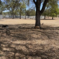 Fargo Dog Park