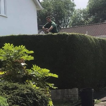 Master Trees - Tree Services Near Me - Cardiff, CRF
