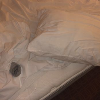 Fairfield by Marriott Inn & Suites Atlanta McDonough - Someone else's sock that was conveniently located inside my pillow - Hotels Near Me - McDonough, Georgia Fairfield by Marriott Inn & Suites Atlanta McDonough - Someone else's sock that was conveniently located inside my pillow - Hotels Near Me - McDonough, Georgia