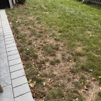 TruGreen Lawn Care - Tree Services Near Me - Albany, New York TruGreen Lawn Care - Tree Services Near Me - Albany, New York