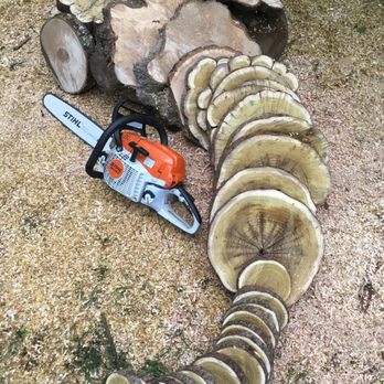 Dan Brown Tree - Tree Services Near Me Dan Brown Tree - Tree Services Near Me