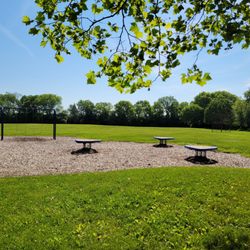 Bouncy platforms near swings