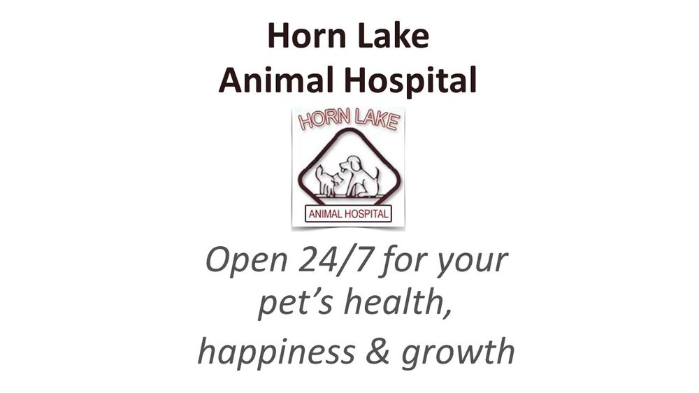 HORN LAKE ANIMAL HOSPITAL AND URGENT CARE Updated September 2024 59