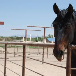 San Francisco Stables
