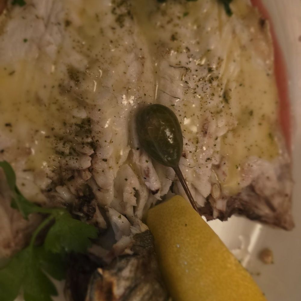 Avra 48th Street - Bronzino - Seafood Near Me - New York, New York