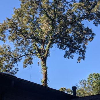 F&B Tree Service - F&B Tree Service - Tree Services Near Me F&B Tree Service - F&B Tree Service - Tree Services Near Me