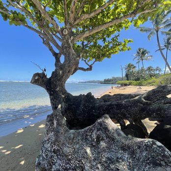 Anini Beach Park - Parks Near Me - Uninc Kauai, Hawaii Anini Beach Park - Parks Near Me - Uninc Kauai, Hawaii