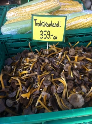 Gutta på Haugen by null