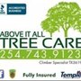 Photo of Above It All Tree Care