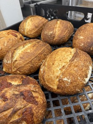 Dream Bakery by null