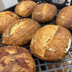 Dream Bakery - Fresh sourdough bread