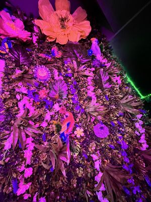 The Freakin Rican by null