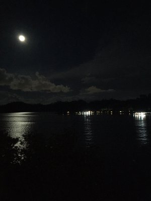 Gaya Island Resort by null