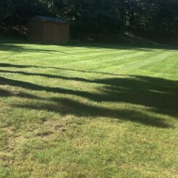 Mav’s Mowing - a green lawn with a fence and trees - Lawn Services Near Me Mav’s Mowing - a green lawn with a fence and trees - Lawn Services Near Me