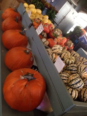 State Farmers Market by null