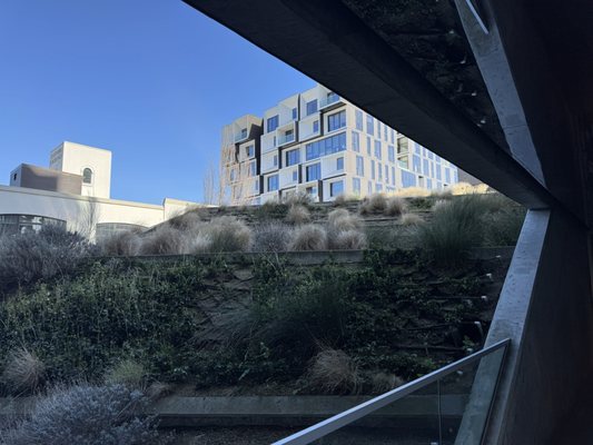 Knot Springs by null