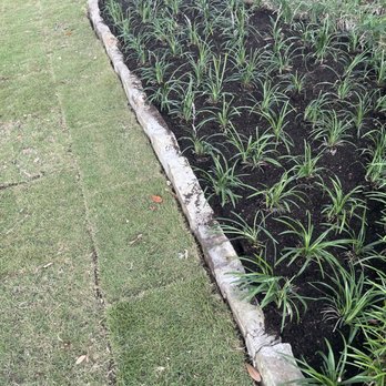 Mercado Irrigation - Extended flower bed - Irrigation Near Me