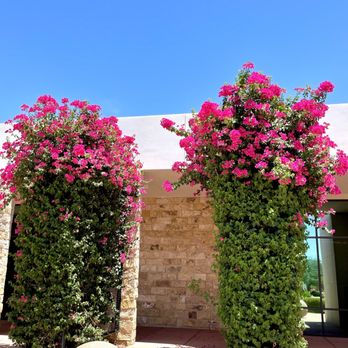 Arts HQ Gallery - Venues & Event Spaces Near Me - Surprise, Arizona Arts HQ Gallery - Venues & Event Spaces Near Me - Surprise, Arizona