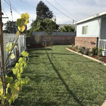 Outlandish Design-Build - After front yard - Landscaping Near Me - Monrovia, California Outlandish Design-Build - After front yard - Landscaping Near Me - Monrovia, California