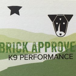 VT Alpine Dog - Basic obedience, behavioral modification & off leash pack walks.