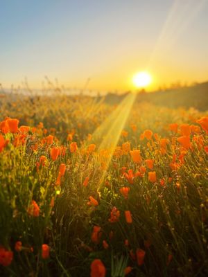 Walker Canyon by null