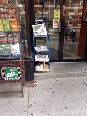 8 Street Mini Market