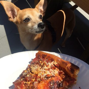 Zachary's Chicago Pizza - Even the dog can't resist the bacon in the pizza lollll - Pizza Near Me - Berkeley, California Zachary's Chicago Pizza - Even the dog can't resist the bacon in the pizza lollll - Pizza Near Me - Berkeley, California