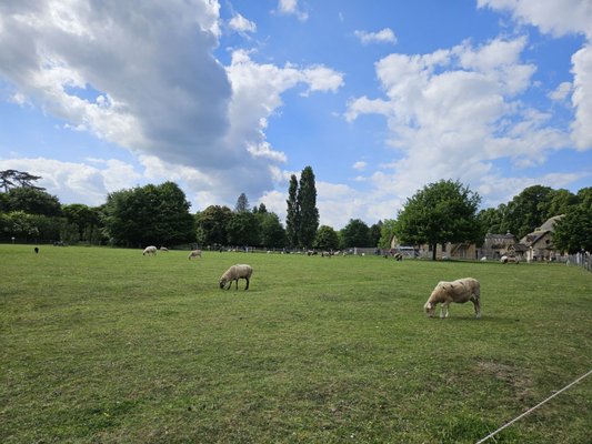 Hameau de la Reine by null