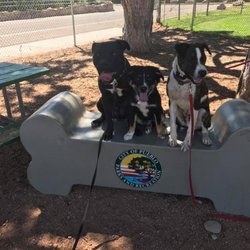 Sit Means Sit Dog Training - Pueblo