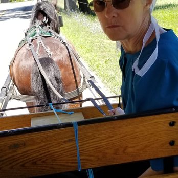 Abe's Buggy Rides - Tours Near Me - Bird In Hand, Pennsylvania Abe's Buggy Rides - Tours Near Me - Bird In Hand, Pennsylvania