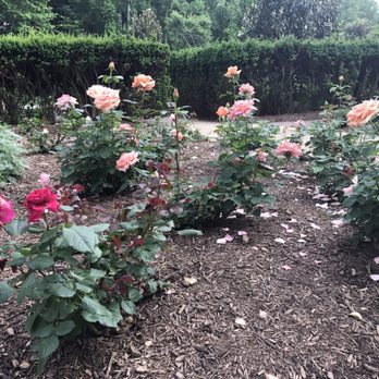 Brookside Gardens  - Botanical Gardens Near Me - Wheaton, Maryland