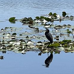 Lake David Park