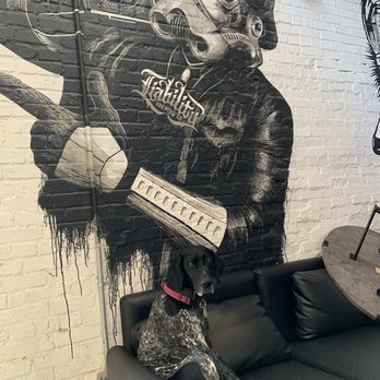 Liability Brewing Company - Lena the brewery puppy - Breweries Near Me - Greenville, South Carolina