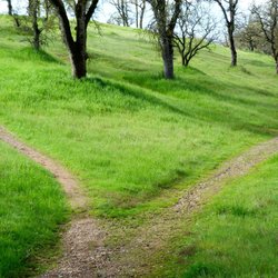 Change Solutions - Is Change Bringing Out the Best in You?