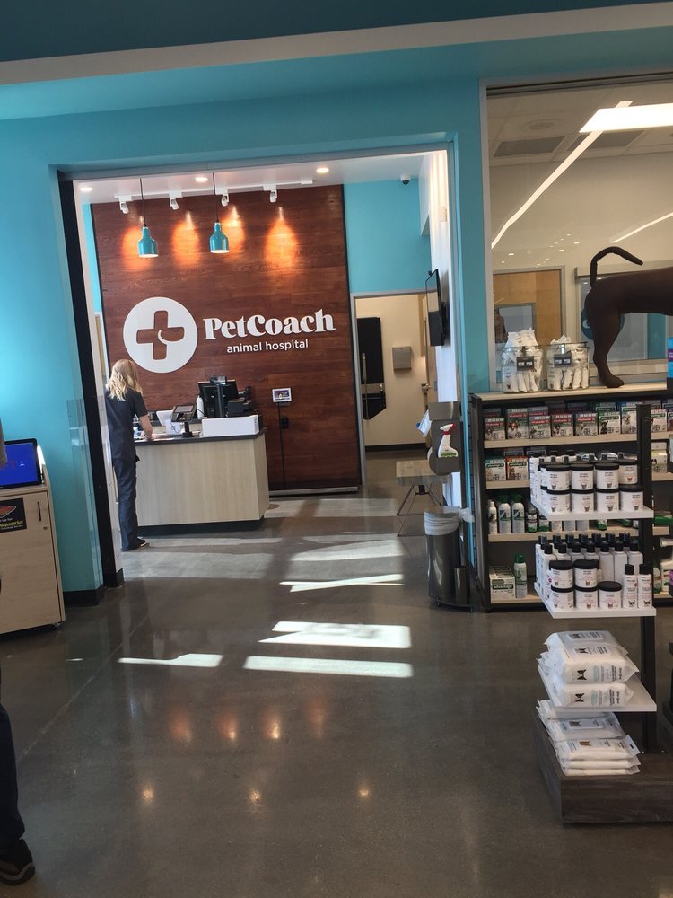 petcoach near me
