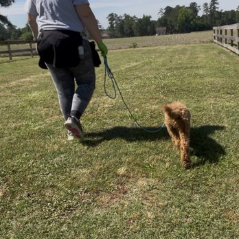 The Ruff Trainer - Pet Training Near Me - Lumberton, North Carolina The Ruff Trainer - Pet Training Near Me - Lumberton, North Carolina