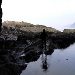 Watermouth Cove Touring Park