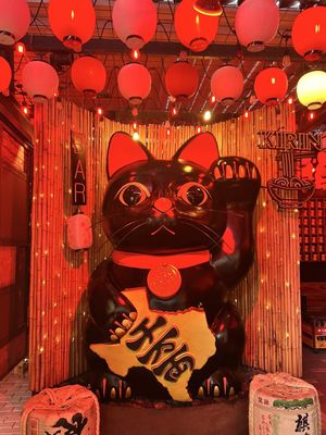 Domo Alley-Gato Tatsu-Ya by null