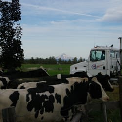 Eberhards Dairy Products