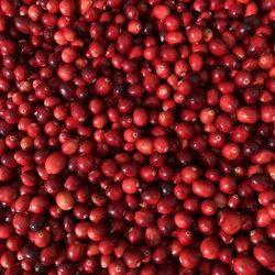 Cold Spring Farmers' Market - Cranberries