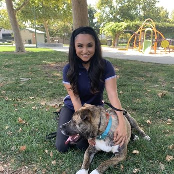 Off Leash K9 Training- Bay Area - Appa on his last day with his trainer and friend Monique Camarena - Pet Training Near Me Off Leash K9 Training- Bay Area - Appa on his last day with his trainer and friend Monique Camarena - Pet Training Near Me