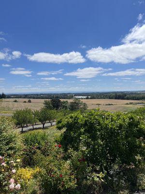 Cristom Vineyards by null