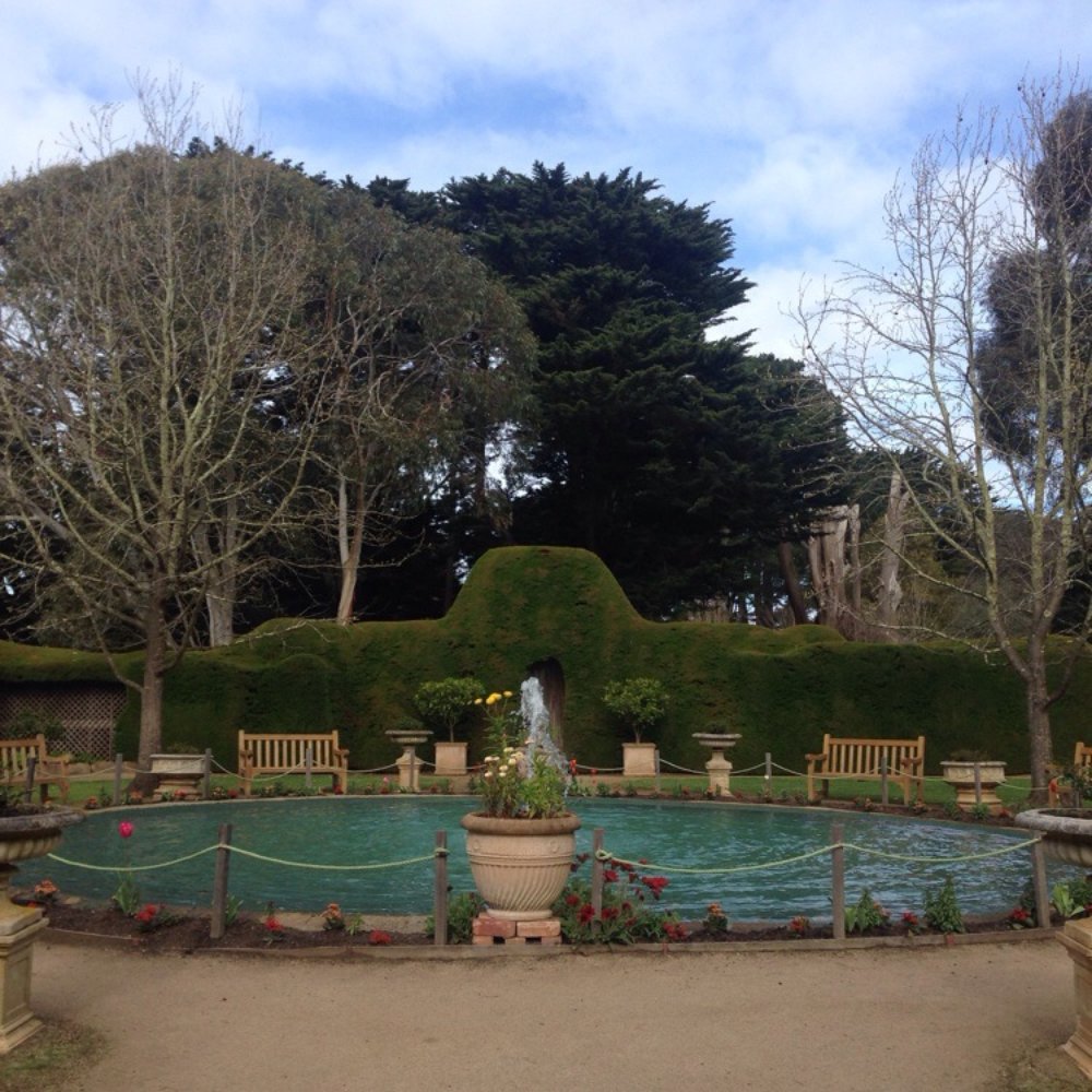 Ashcombe Maze & Lavender Gardens - Centre Garden. - Food Near Me - Shoreham, VIC