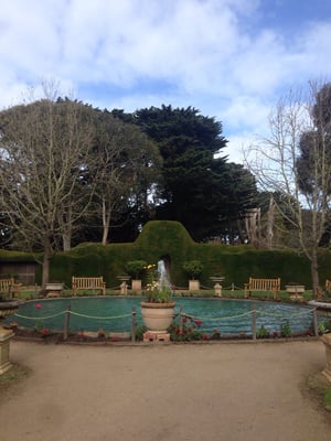 Ashcombe Maze & Lavender Gardens by null