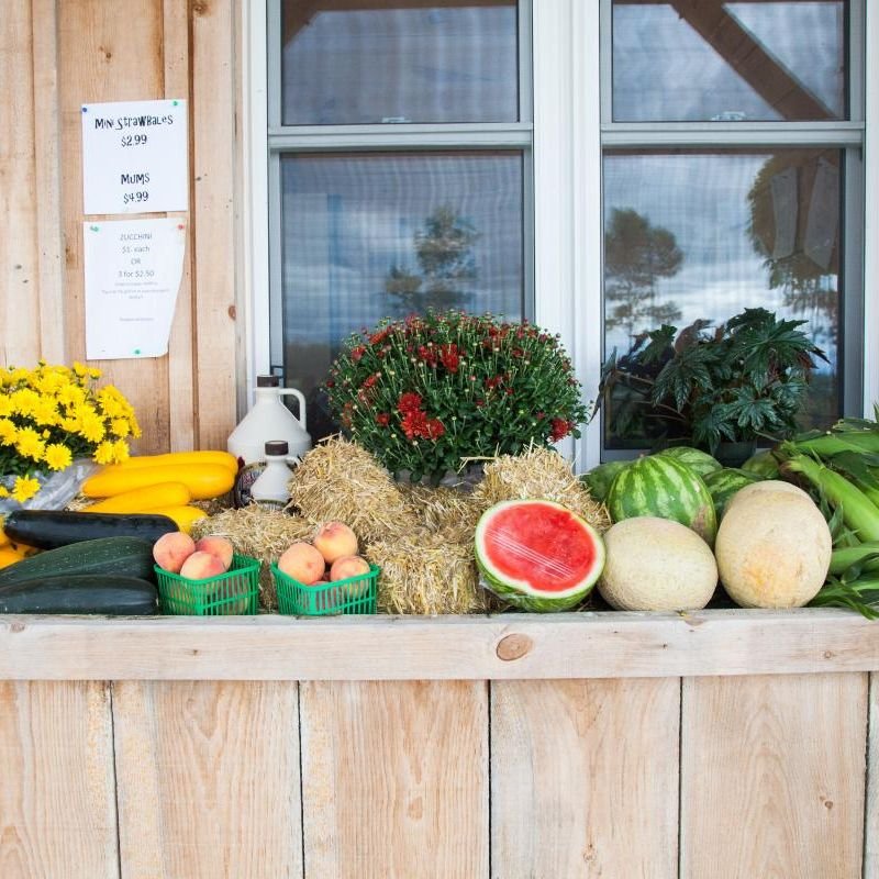 CEDAR CREST ACRES 5321 Perth County Road 119, Gads Hill, Ontario