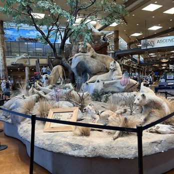 Bass Pro Shops - Outdoor Gear Near Me - Las Vegas, Nevada
