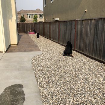 Wine Country Pavers - Our dog approved run... - Landscaping Near Me - Napa, California Wine Country Pavers - Our dog approved run... - Landscaping Near Me - Napa, California