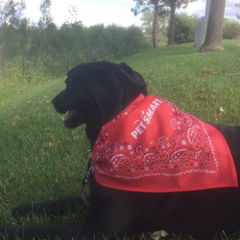 PetSmart - Pet Training Near Me - Blaine, Minnesota PetSmart - Pet Training Near Me - Blaine, Minnesota