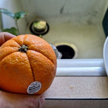 Ralphs - Navel orange from produce section - Grocery Near Me - Arcadia, California